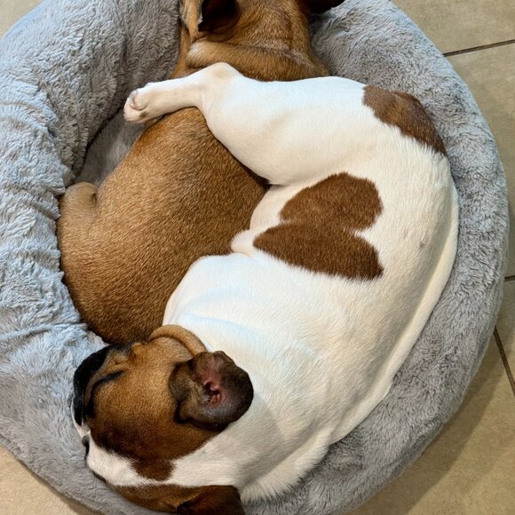 Meet your Posher, Angella - Picture 9 of 15